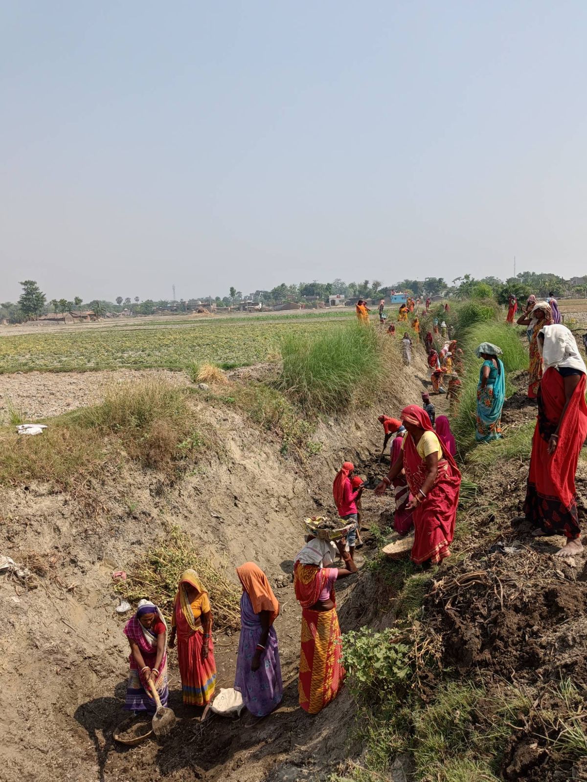 Women working on a canal-digging worksite in rural Bihar
