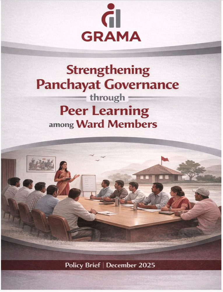 Peer Learning among Local Politicians